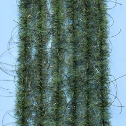 EP® WOOLY CRITTER BRUSH .50" - OLIVE